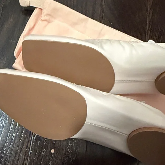 Reformation x NYC Ballet Barbara Ballet Flat Morning Dew Size 9